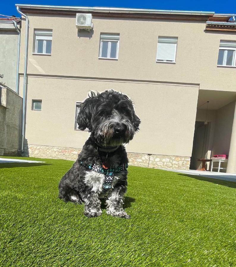Apartmanhaz